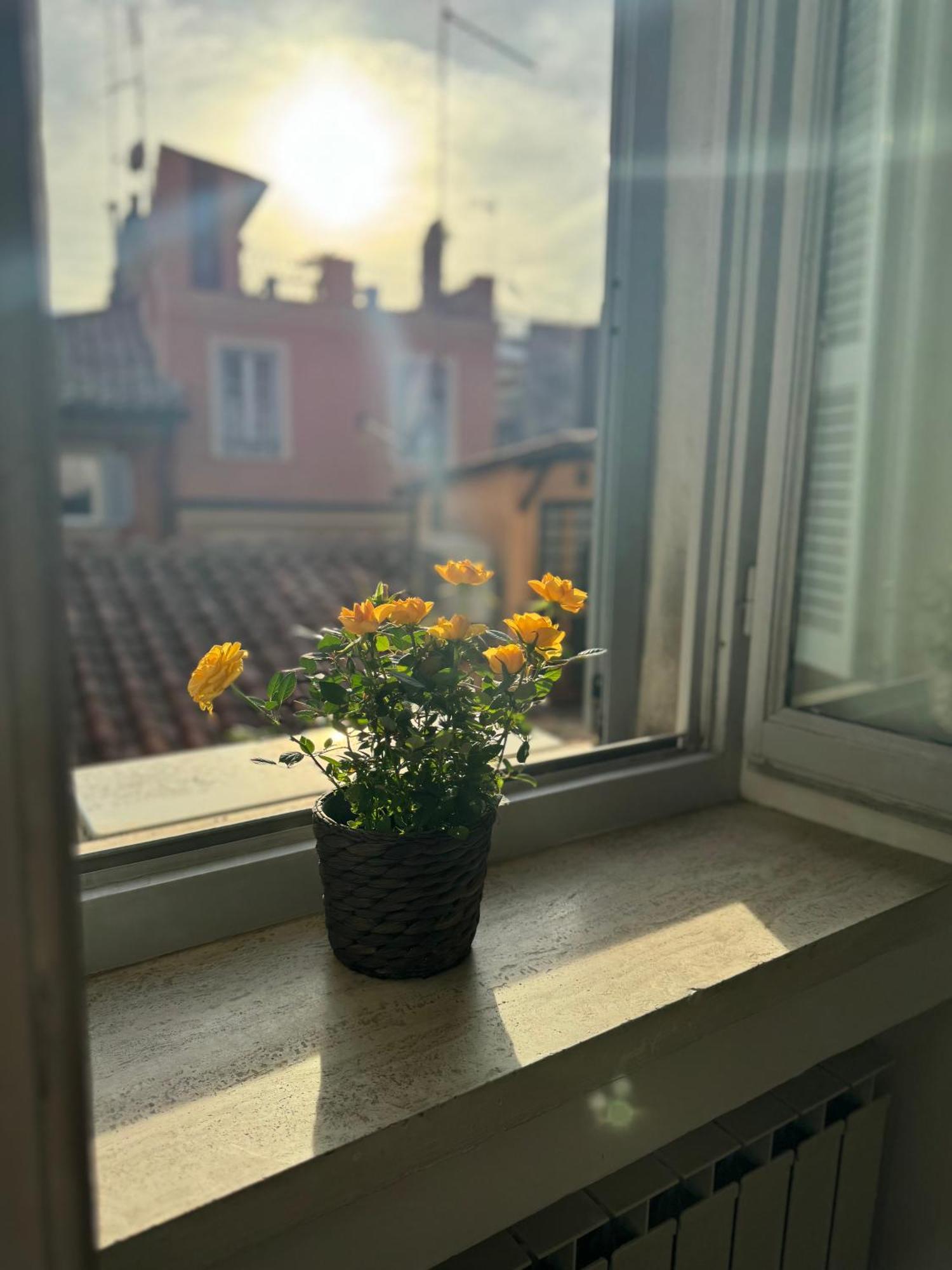 Labanca'S Luxury Navona Villa Рим Екстериор снимка